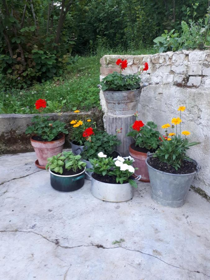 Il Noccioletto Bed and Breakfast Mombaruzzo Buitenkant foto